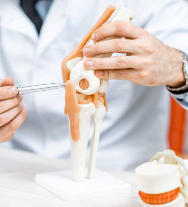 Close-up of the therapist showing knee joint model during the medical consultation