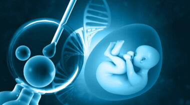 Vitro Fertilization. IVF and Human fetus with DNA strand. 3d illustration